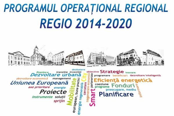 Două orașe din Suceva și un sat din Vaslui primesc bani de la Guvern. La ce vor fi folosiți