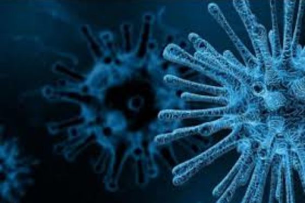 Bilanț coronavirus 20 iunie 2021: 53 cazuri noi de persoane infectate și 2 decese