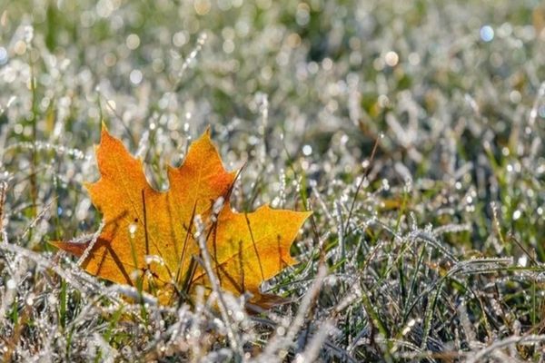 Vremea 17 noiembrie - Burniță în mare parte din țară - Maximele nu trec de 12 grade Celsius