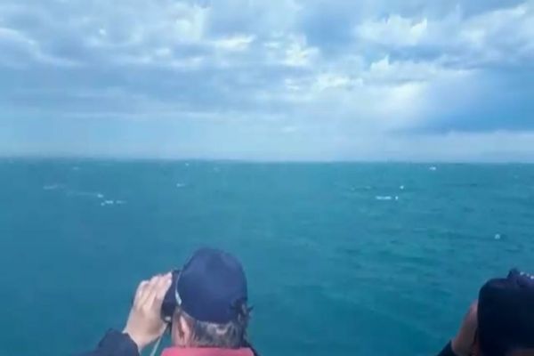 Liderul PNL: „Prioritatea zero este legea offshore. Proiectul l-am pus pe masa coalitiei”