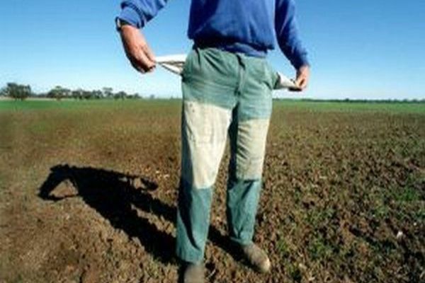 PER: ”Am ajuns să importăm 70% din ceea ce consumăm. Ce plan are Guvernul pentru fermierii și micii producători autohtoni?”