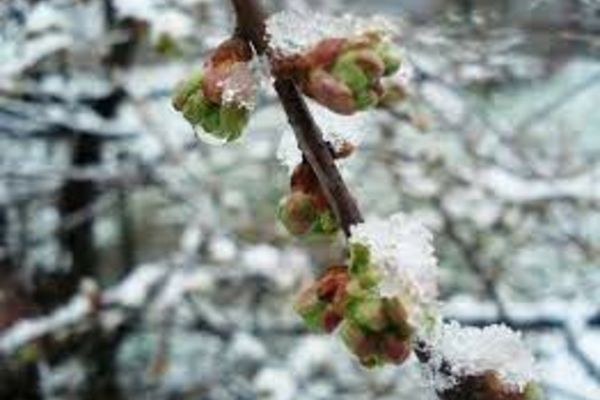 Vremea 23 februarie - Temperaturi în scădere în majoritatea zonelor