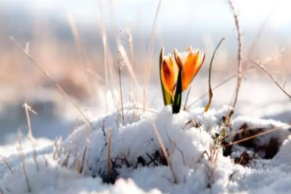 Vremea 9 februarie - Temperaturi de primăvară care ajung până la 13 grade Celsius