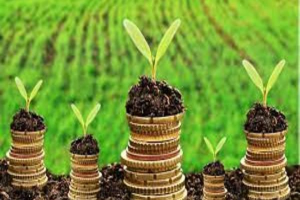 Sprijin de peste 1 miliard de lei pentru fermierii din sectoarele vegetal şi zootehnic