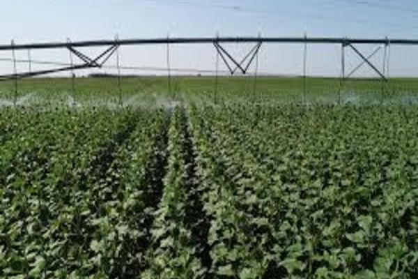 Ministerul Agriculturii anunţă că infrastructura de irigaţii este pregătită pentru funcţionare în condiţii optime. Care este suprafaţa potenţial irigabilă  