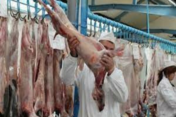 Cum se deosebeşte carnea de miel de cea de câine - Anunțul făcut de ANSVSA