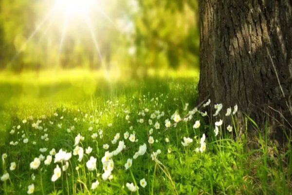 Vremea în următoarele două săptămâni: temperaturi caniculare în aproape toată țara - Când încep ploile