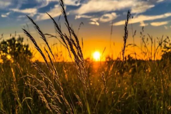 Val de AER TROPICAL peste România. Unde se anunţă furtuni violente