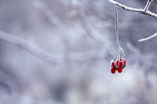 Vreme extrem de rece în zilele următoare. Vor cădea precipitații, inclusiv lapoviță și ninsoare - VEZI HARTA