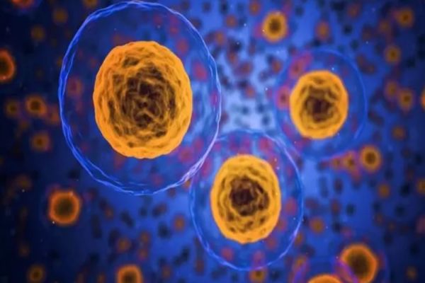 Lista alimentelor care luptă împotriva cancerului - Sfaturile unui medic oncolog