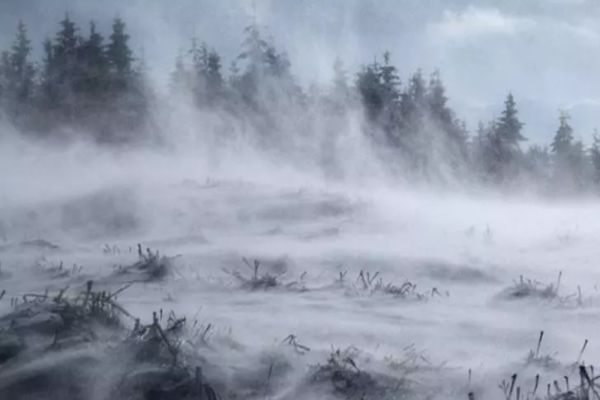 Vin ninsorile - Prognoza meteo pentru următoarele 4 săptămâni - Se răcește în toată țara