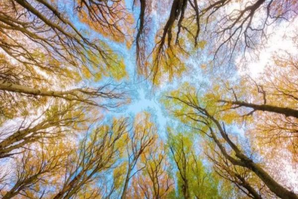 Prognoza meteo 26 decembrie. Vreme de primăvară, în toiul iernii - temperaturi de 15 grade