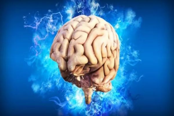 Cel mai bun aliment pentru sănătatea creierului: De ce îl recomandă neurologii