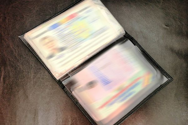 Fals procurat cu 150 de euro, depistat la controlul de frontieră   