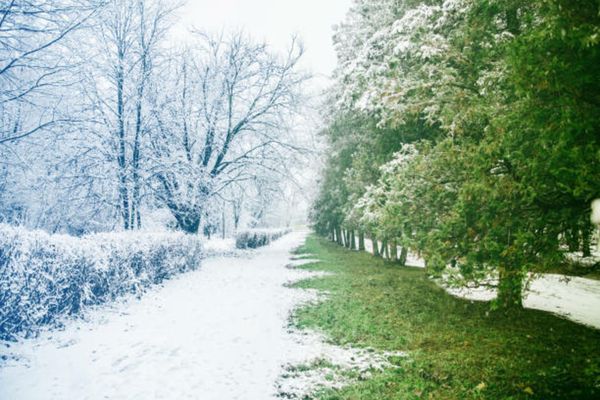 Meteorolog ANM: "Temperaturile se vor uniformiza în toată țara". Valul de frig ajunge și în sud: când vine primăvara