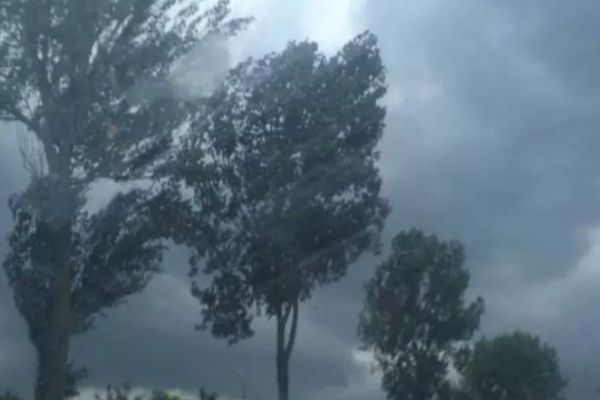 Vremea extremelor: Cod GALBEN de vânt puternic! Meteorologii au emis mai multe atenționări nowcasting