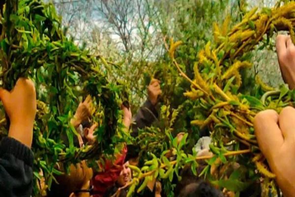 Tradiții și obiceiuri de Florii. La ce se folosesc, de fapt, ramurile de salcie