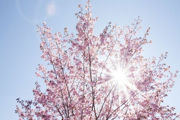 Meteorologii vin cu vești bune pentru mini-vacanța de 1 mai! ANM: Vremea va fi frumoasă