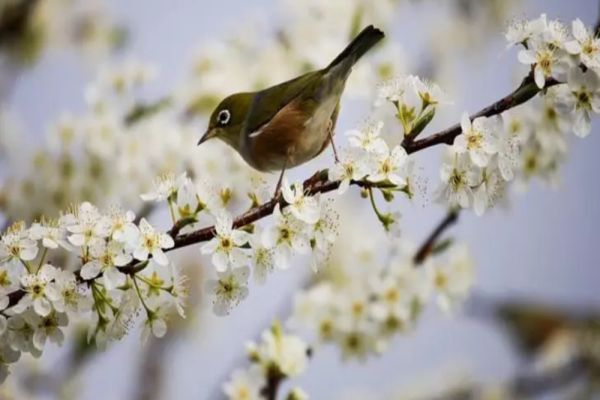 Aer tropical peste România: zonele unde temperaturile urcă la 22 de grade. Prognoza pe două săptămâni