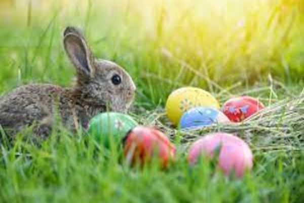 Surprize de la meteorologi: Cum va fi vremea de Paște? Prognoza actualizată pentru perioada 27 martie – 24 aprilie