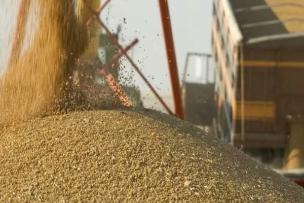 Ucraina cere Comisiei Europene revenirea la liberalizarea completă a importurilor de cereale ucrainene în UE. Avertismentul Kievului