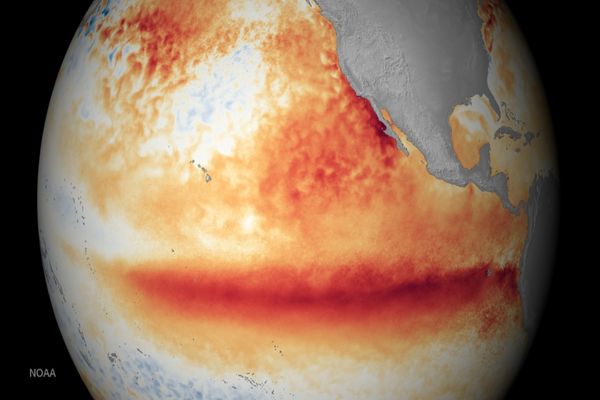 A început El Niño, fenomenul meteorologic care favorizează temperaturi-record! Avertismentul experților - La ce să ne așteptăm