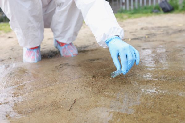 Ce este holera, ce simptome are și cum se transmite boala care a dispărut de 30 de ani din România