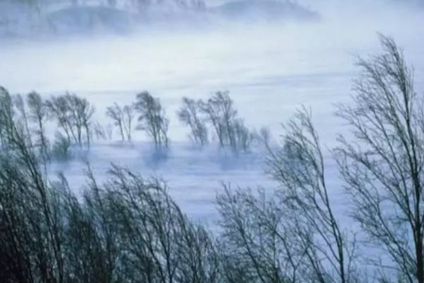 Cod portocaliu de fenomene periculoase - vânt puternic în mai multe județe