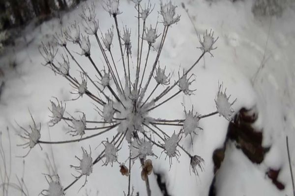 Furtuna Isha lovește și România. Avertizare de gheață neagră