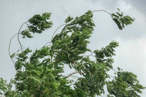 VREMEA 25 SEPTEMBRIE. COD GALBEN DE VÂNT PUTERNIC