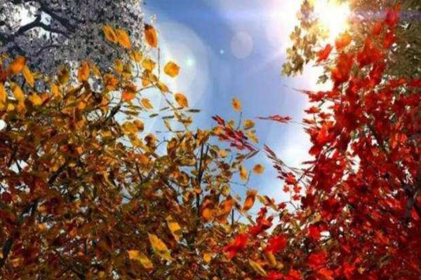 VREMEA DE 1 NOIEMBRIE: TEMPERATURI DE PESTE 20 DE GRADE ȘI CER SENIN ÎN APROAPE TOATĂ ȚARA