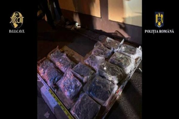 METODĂ INGENIOASĂ FOLOSITĂ DE TRAFICANȚI: DROGURI ASCUNSE ÎNTR-O MAȘINĂ, URCATĂ PE O PLATFORMĂ DE TRACTĂRI AUTO