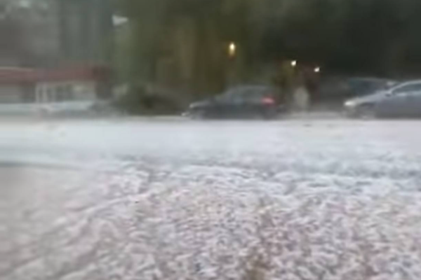 ANM: COD PORTOCALIU DE FURTUNI, COD GALBEN DE VÂNT PUTERNIC