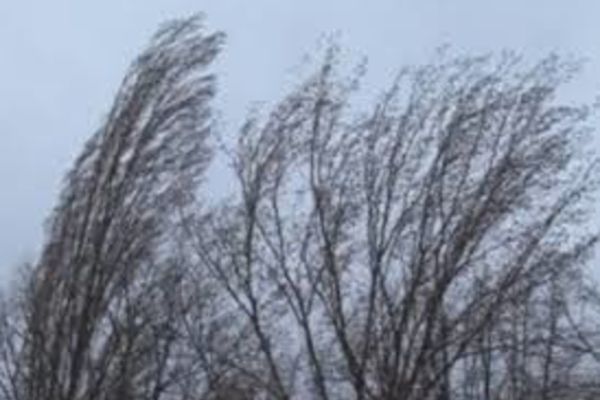 COD GALBEN DE VÂNT PUTERNIC ÎN MAI MULTE JUDEȚE