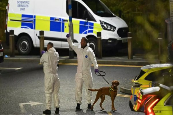 ATAC SÂNGEROS ÎNTR-UN TREN DIN ANGLIA: NOUĂ OAMENI, RĂNIȚI GRAV CU CUȚITE. POLIȚIA ANTITERORISTĂ, IMPLICATĂ ÎN ANCHETĂ