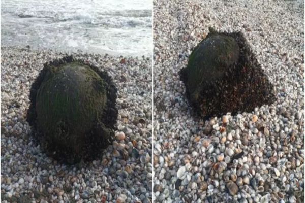 Alertă la Marea Neagră. O mină a fost găsită pe plaja de la Midia 