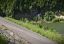 Bătaie de joc pe bani publici. S-au pompat 12 miliarde de lei, dar hidrocentrala de la Răstolnița nu funcționează - VIDEO