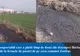 Misterul mirosului de la Bârlad a fost elucidat: dejecții de la fermele de păsări din Zorleni