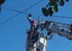 VIDEO. Porumbel salvat de pompierii bârlădeni