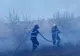 Pompierii avertizează: Incendiile de vegetație uscată, în creștere alarmantă