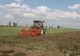 Aproape 100.000 de hectare însămânțate în Vaslui