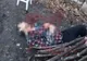 Un bărbat din Zorleni a fost găsit spânzurat în curtea casei