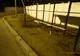 Doi minori din Bârlad, prinși de Poliția Locală după ce au rupt o bancă și mai mulți copăcei