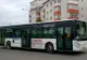 Salariații de la Transurb cer demisa directoarei Plăcintă