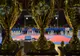 Liga de Est Vaslui, senioara taekwon-do-ului românesc!