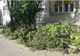 ATENȚIE BÂRLĂDENI! În weekend, mașinile CUP S.A. vor ridica deșeurile vegetale.