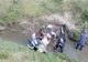 Popeni. Cal salvat de pompierii bârlădeni dintr-o râpă adâncă de 4 metri