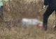 Bogdănești: Un bărbat a fost găsit mort pe un câmp