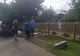 Toți cei 2000 de porci de la ferma din Murgeni afectată de pesta porcină, vor fi sacrificați!