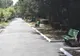 Bănci noi și alei asfaltate în Grădina Publică